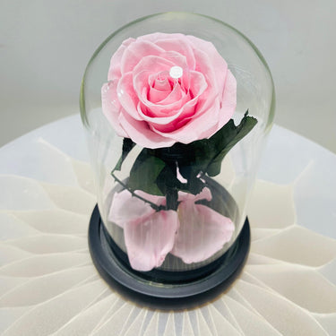 Infinity Pink Rose in Glass Dome